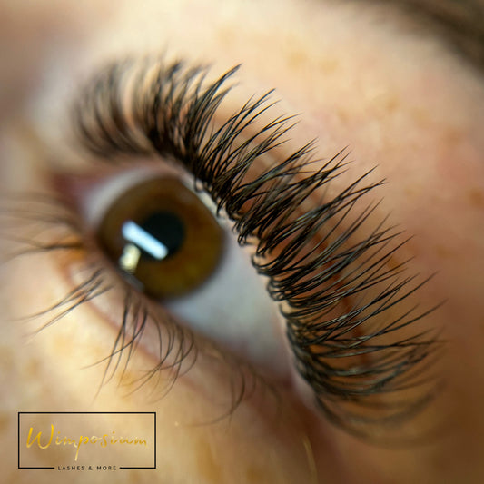Wimpernschulung 1:1 Technik inkl. Zertifikat
